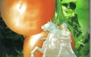 МЕДНЫЙ ВСАДНИК