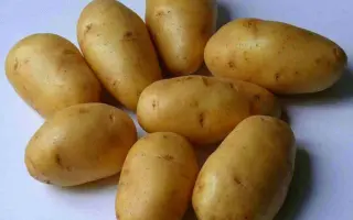 ЛОРХ
