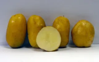 ВОЛЖАНИН