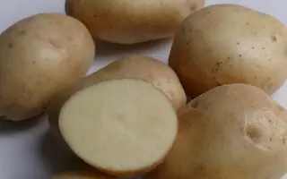 ЛЮБИМЕЦ