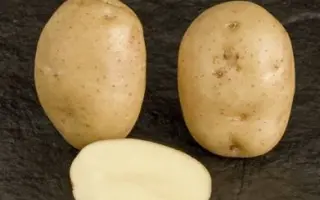 ПЕНЗЕНСКАЯ СКОРОСПЕЛКА