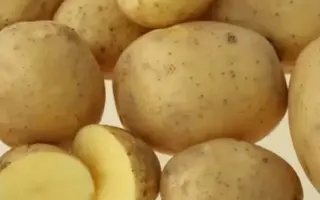 ИСКРА