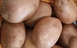 АЛЕКСАНДРИТ