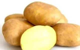 ЖЕМЧУЖИНА КАМЧАТКИ