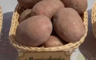 МИХАЙЛОВСКИЙ