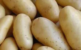 МОСТОВСКИЙ