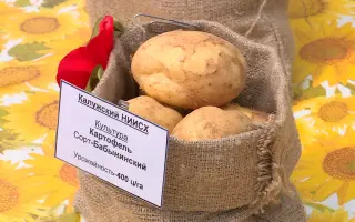 БАБЫНИНСКИЙ