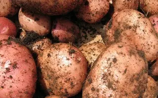 ВЫЧЕГОДСКИЙ