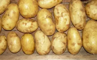 БРОННИЦКИЙ