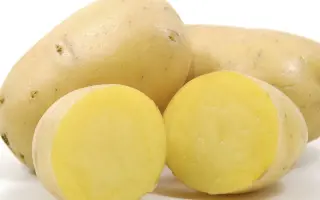 ПРИМАБЕЛЛЬ