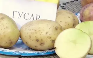 ГУСАР