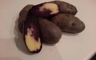 СЕВЕРНОЕ СИЯНИЕ