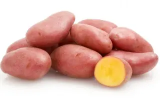 МАЙСКИЙ ЦВЕТОК