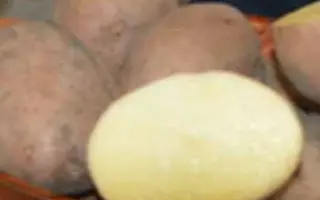 БЕЗЕНЧУКСКИЙ