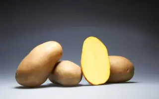 АКСЕНИЯ