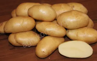 ФРИТЕЛЛА