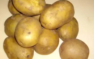 ЛУКЬЯНОВСКИЙ