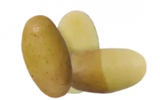 ЛЕДИ АННА