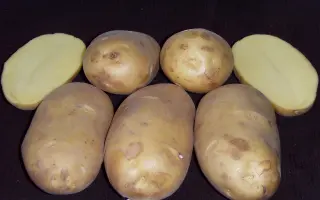 ЧАРОИТ