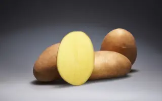 ДАМАРИС