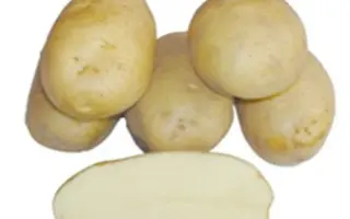БАРИН
