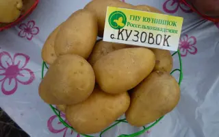 КУЗОВОК