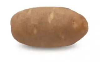 АЙВОРИ РАССЕТ