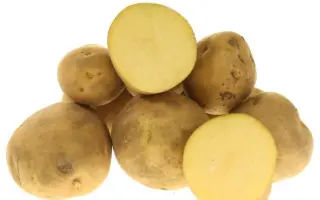 РЕСУРС