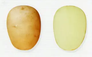 РОЖДЕСТВЕНСКИЙ