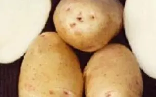 ВЕСНА БЕЛАЯ