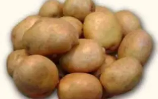 БЕЛОУСОВСКИЙ