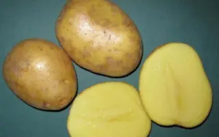 ЛОМОНОСОВСКИЙ