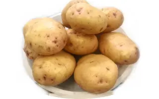УТРО