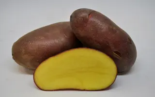 ДЕЛЬФИНЕ
