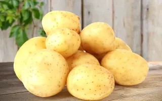 РЕАЛ