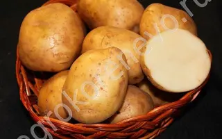 НИКУЛИНСКИЙ