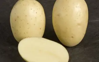 АЙЛ ОФ ДЖУРА