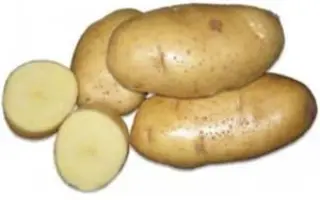 БРЯНСКИЙ ЮБИЛЕЙНЫЙ