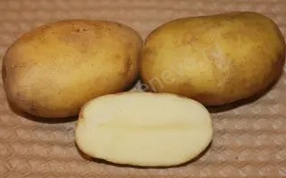 ЮБИЛЕЙ ЖУКОВА