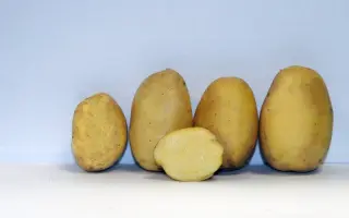 ВЕРШИНИНСКИЙ