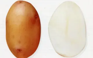 РАДОНЕЖСКИЙ