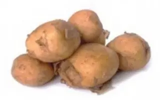 ДАРКОВИЧСКИЙ