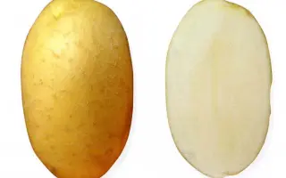 ВДОХНОВЕНИЕ