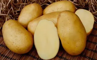 БРЯНСКИЙ ДЕЛИКАТЕС