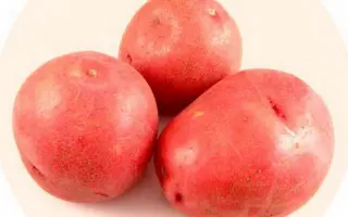 КРАСНАЯ РОЗА