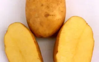 ПАМЯТИ РОГАЧЕВА