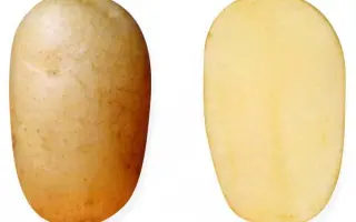 РУССКИЙ СУВЕНИР