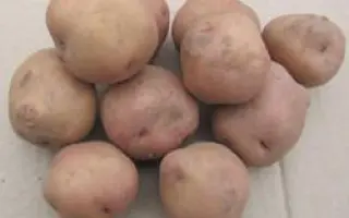 БРЯНСКИЙ НАДЕЖНЫЙ