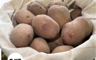 БАШКИРСКИЙ