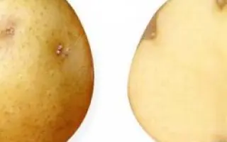 ПАМЯТИ ОСИПОВОЙ